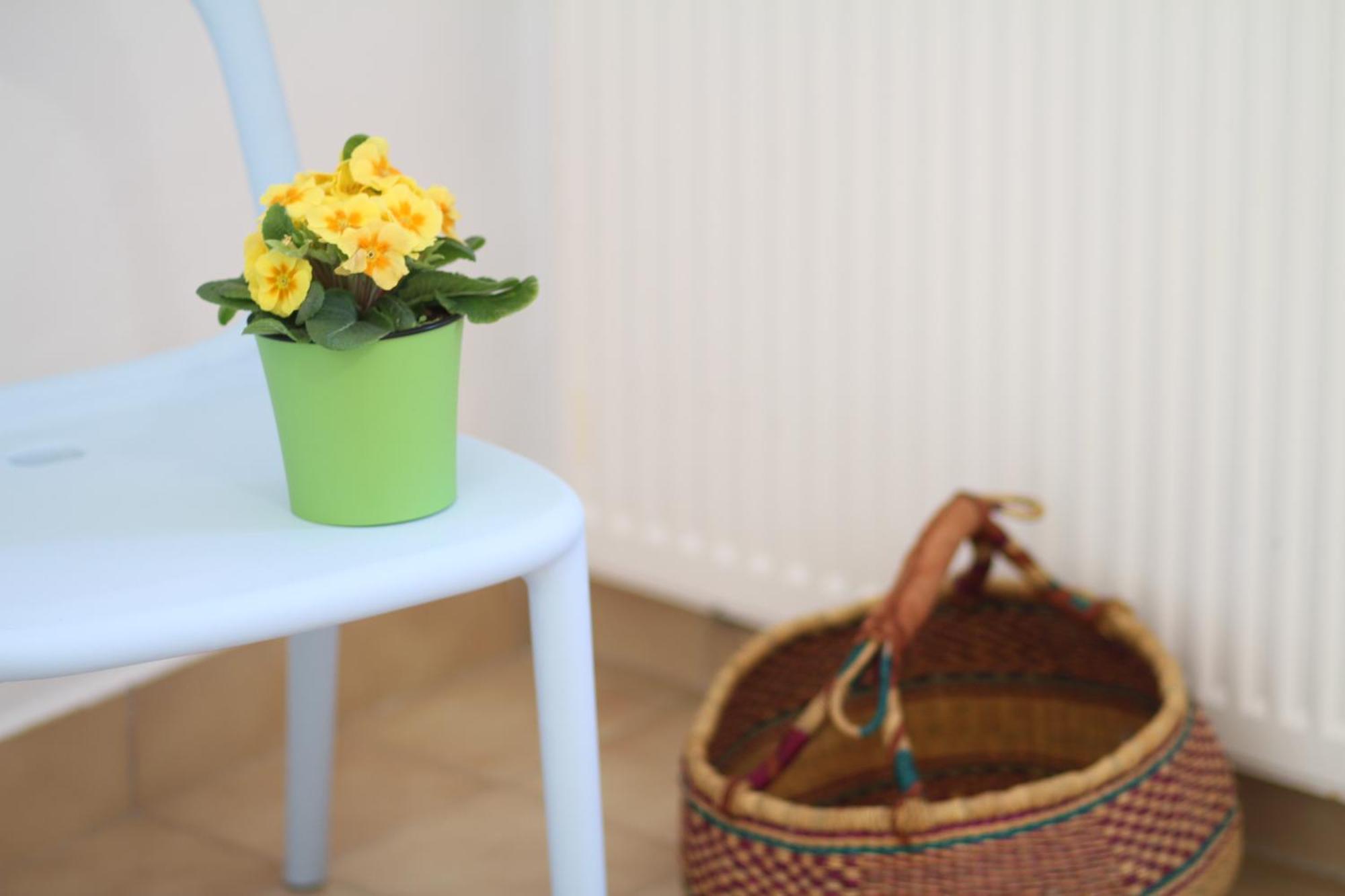 - Compartir Appartement Cadaqués